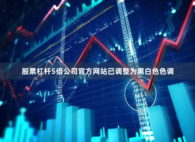 股票杠杆5倍公司官方网站已调整为黑白色色调