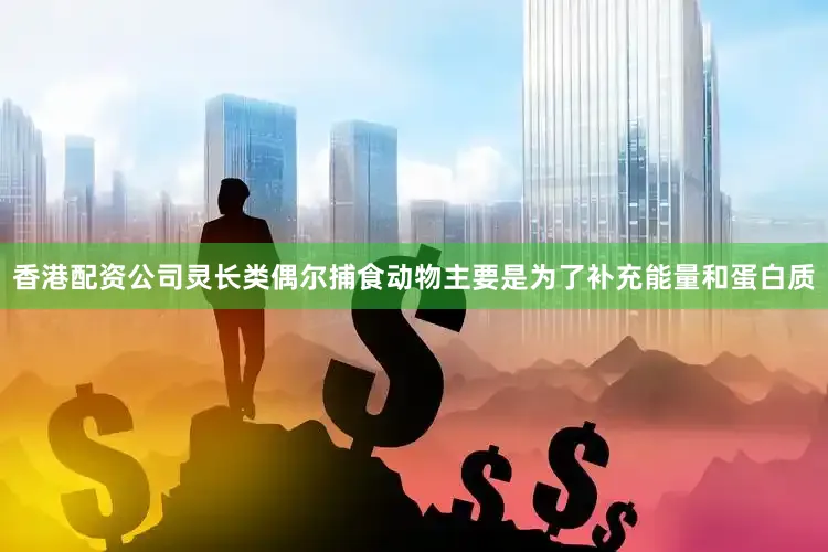 香港配资公司灵长类偶尔捕食动物主要是为了补充能量和蛋白质