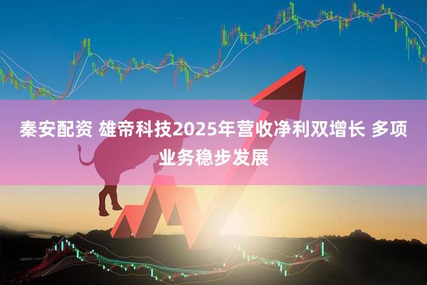 秦安配资 雄帝科技2025年营收净利双增长 多项业务稳步发展